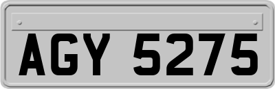 AGY5275
