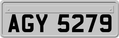 AGY5279