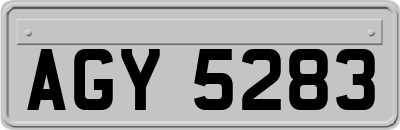 AGY5283
