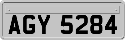 AGY5284