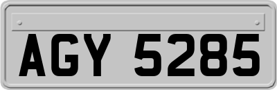 AGY5285