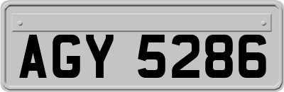 AGY5286