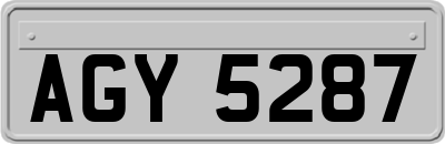 AGY5287