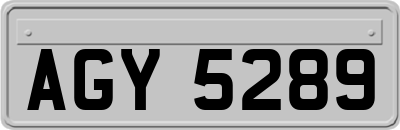 AGY5289
