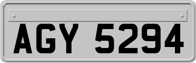 AGY5294