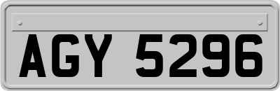 AGY5296