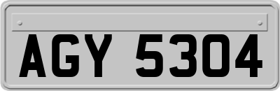 AGY5304