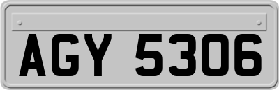 AGY5306
