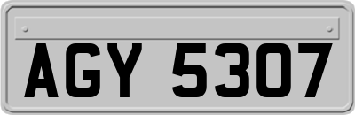 AGY5307