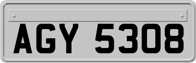 AGY5308