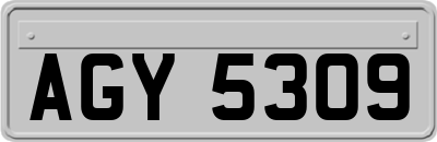 AGY5309