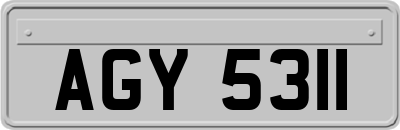 AGY5311
