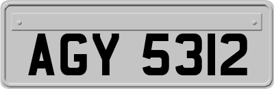 AGY5312