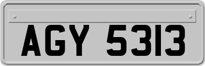 AGY5313