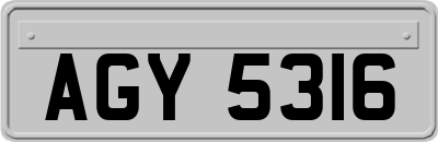 AGY5316