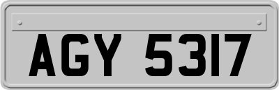 AGY5317