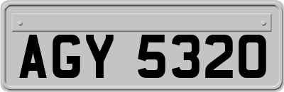 AGY5320