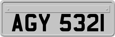 AGY5321