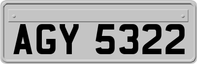 AGY5322