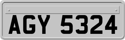 AGY5324