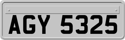 AGY5325
