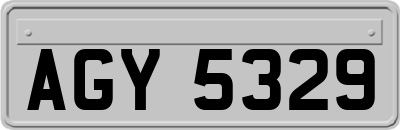 AGY5329