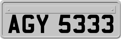 AGY5333