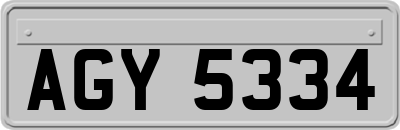 AGY5334
