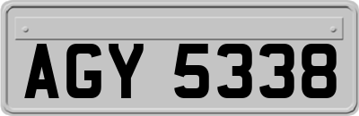 AGY5338