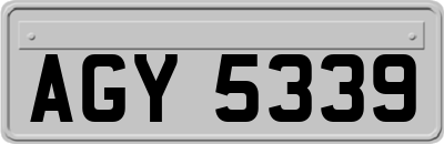 AGY5339