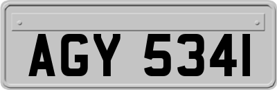AGY5341