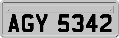 AGY5342