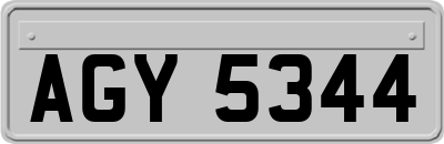 AGY5344