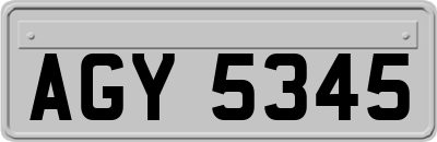 AGY5345