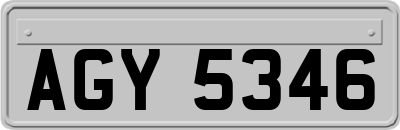 AGY5346