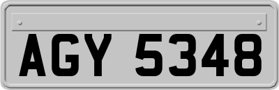 AGY5348