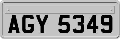 AGY5349