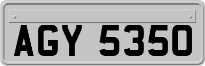AGY5350