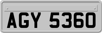 AGY5360