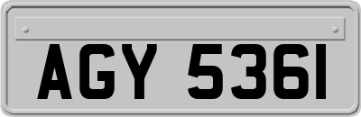 AGY5361