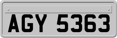 AGY5363