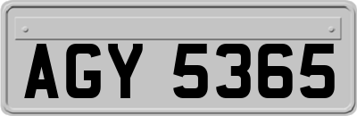 AGY5365