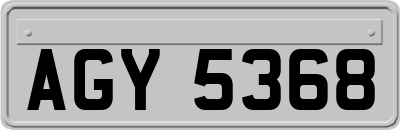 AGY5368