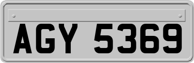 AGY5369