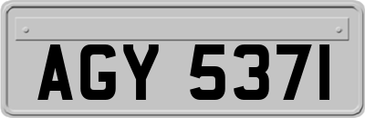 AGY5371
