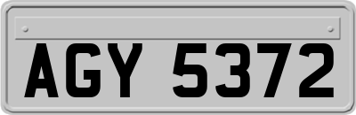 AGY5372