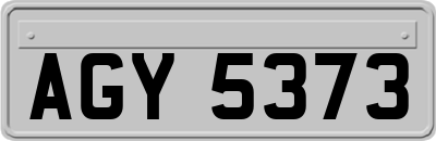 AGY5373