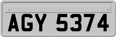 AGY5374