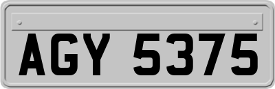 AGY5375