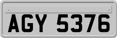 AGY5376